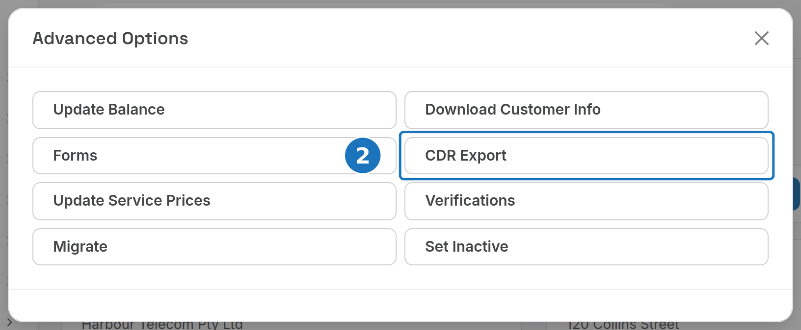 Advanced Options dialog with CDR Export